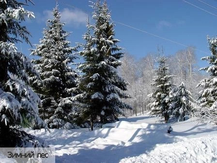 Засурье село