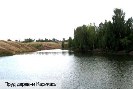 Ядринский район