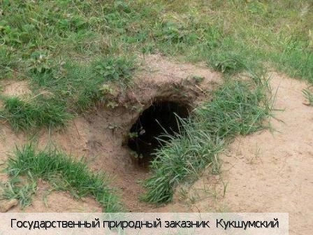 Кукшумы деревня