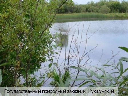 Кукшумы деревня