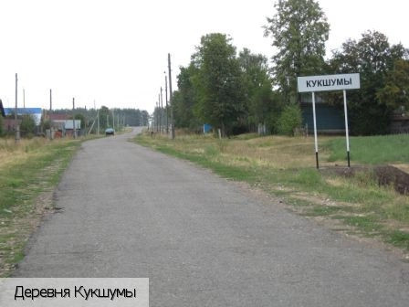 Кукшумы деревня
