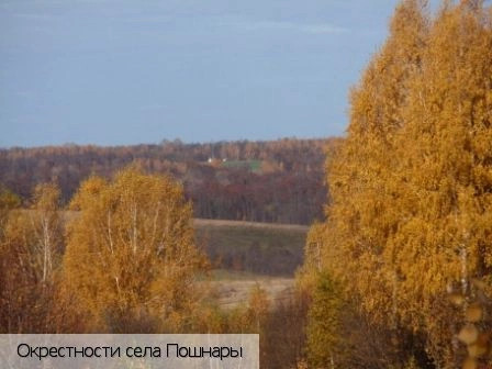 Ядринский район