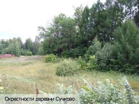 Сучково поселок