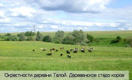 Ядринский район
