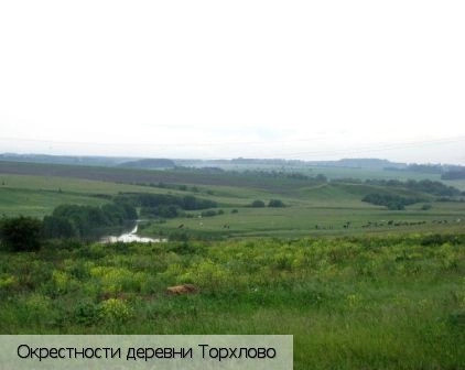 Торхлово деревня