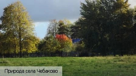 Чебаково село