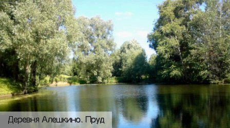 Алешкино деревня (Ядринский р-н)