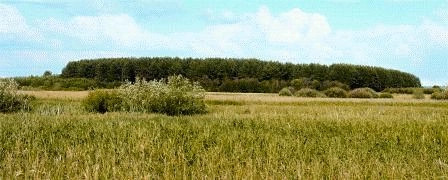 Ядринский район