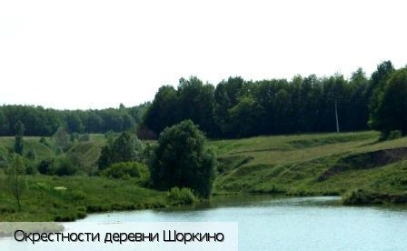 Шоркино деревня (Ядринский р-н)