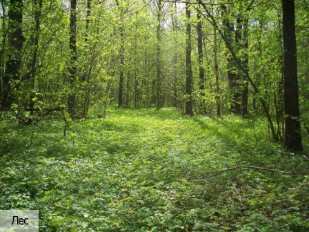 Большая Таяба село