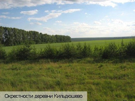 Кильдюшево деревня