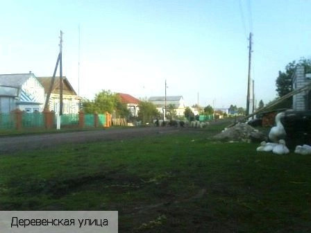 Новое Янашево деревня