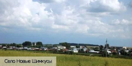 Новые Шимкусы