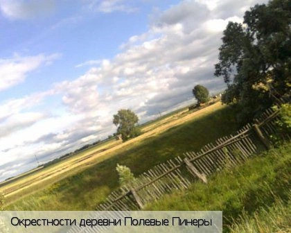 Полевые Пинеры