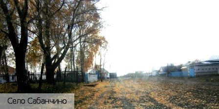 Яльчикский район