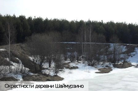 Шаймурзино (Яльчикский р-н)