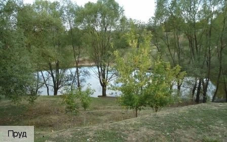Янтиковский район