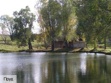 Гришино село