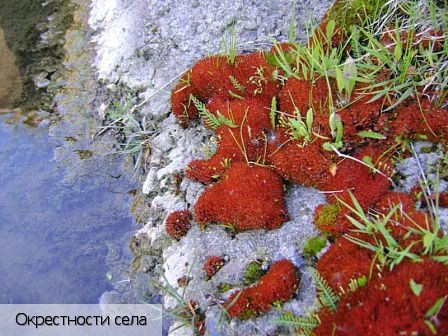 Можарки село