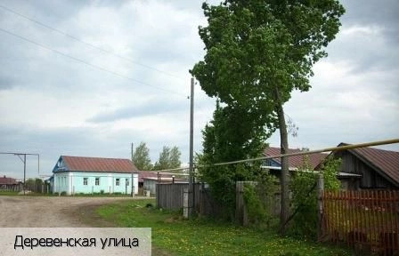 Нижарово деревня
