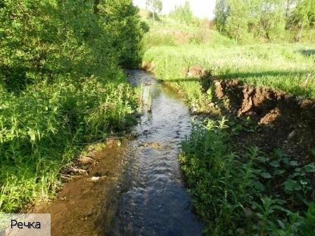 Нижарово деревня