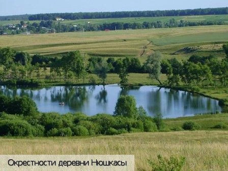 Янтиковский район