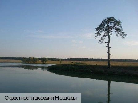 Нюшкасы деревня