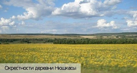 Нюшкасы деревня