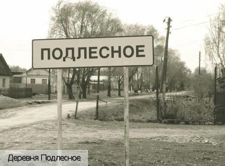 Подлесное деревня