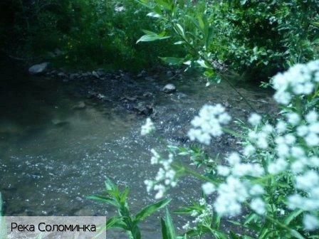 Русские Норваши село