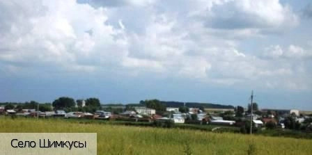 Шимкусы село