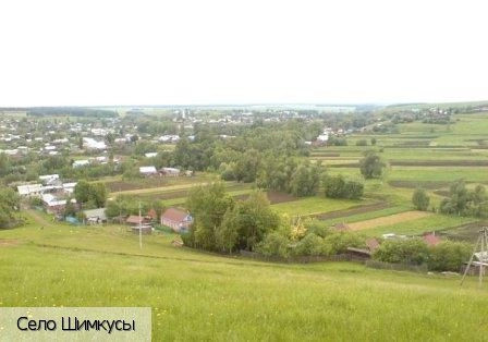 Шимкусы село