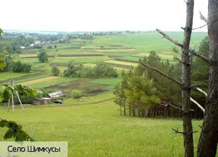 Шимкусы село