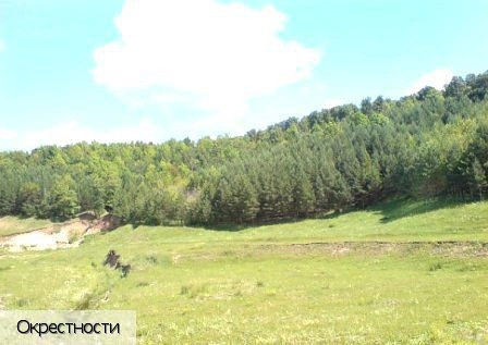 Шимкусы село