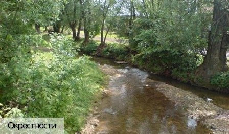 Шимкусы село