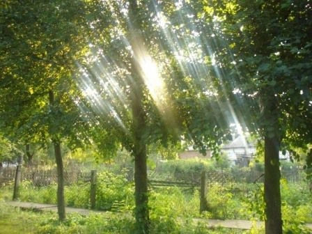 Янтиково село (Янтиковский р-н)