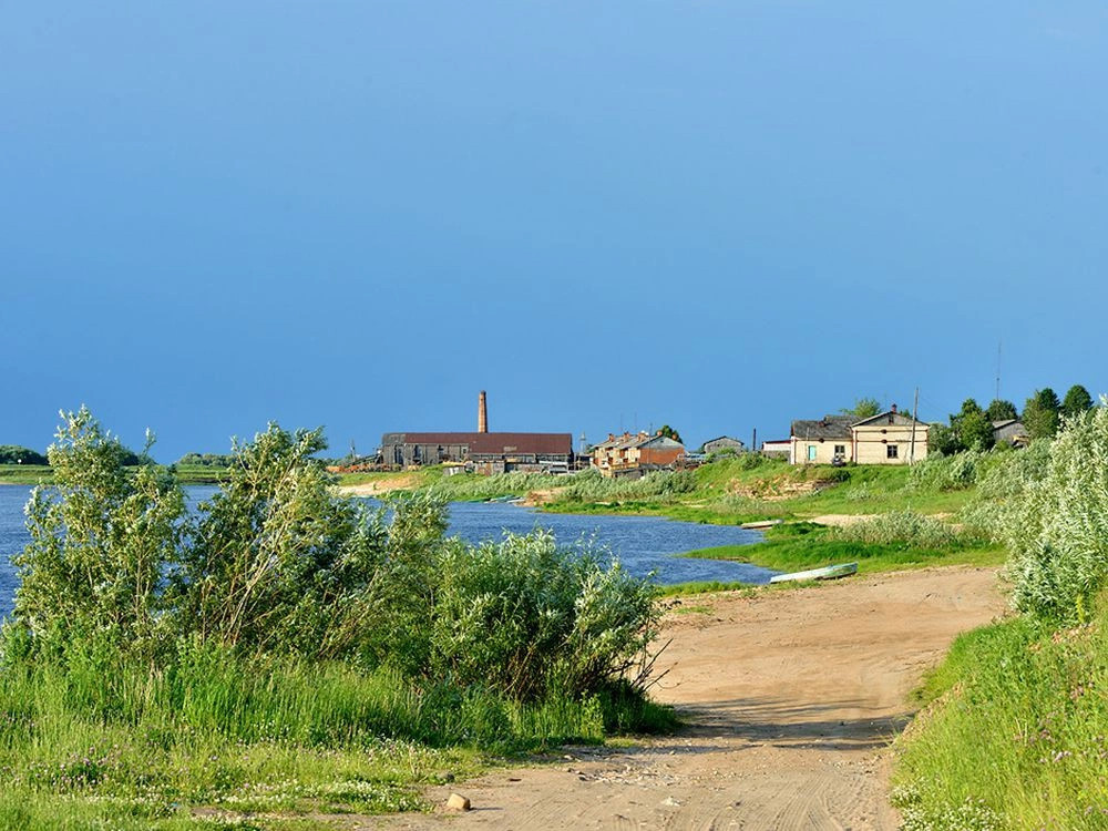 Архангельская обл.