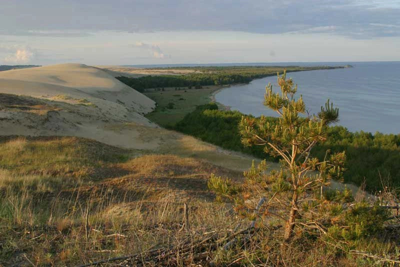 Калининградская обл.