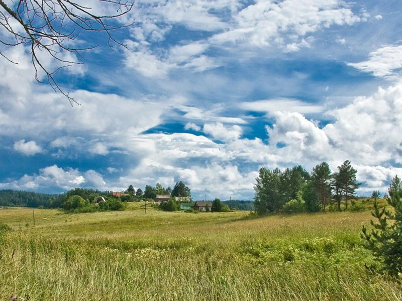 Микли