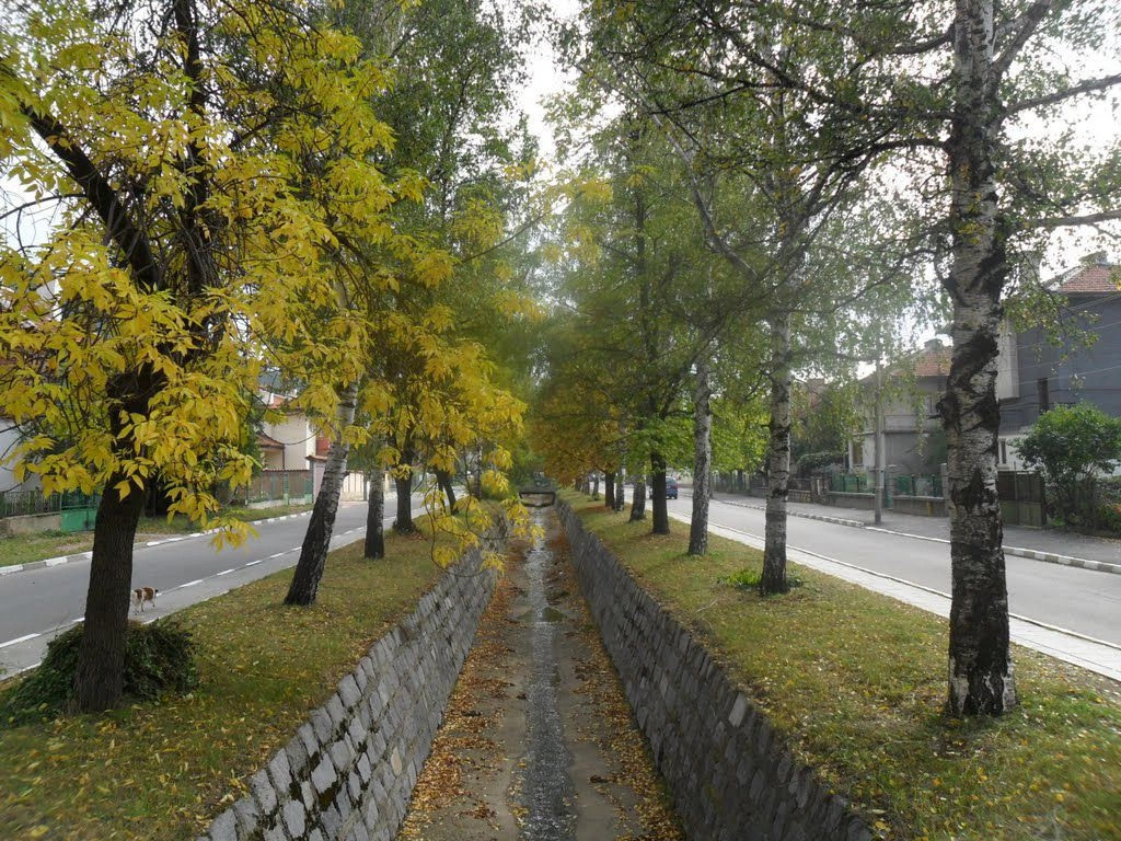 Самоков