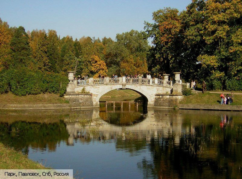 Павловск город