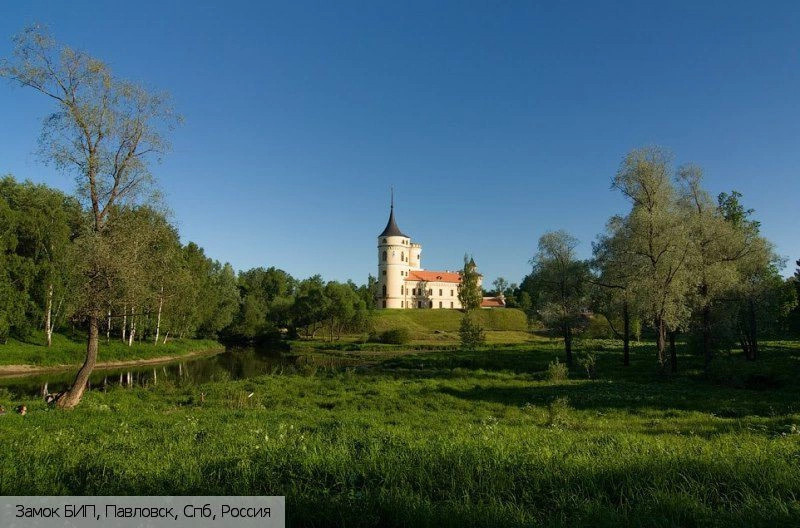 Павловск город
