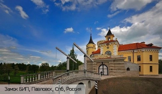Павловск город