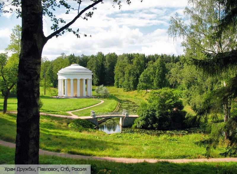 Павловск город