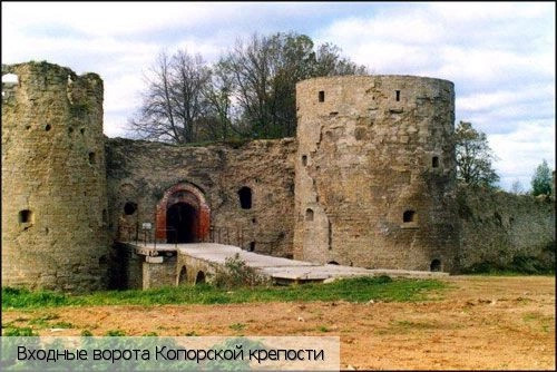 Ленинградская обл.