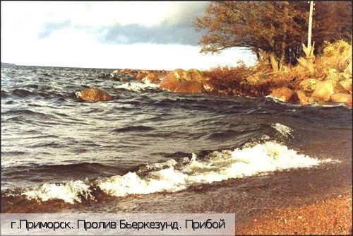 Ленинградская обл.