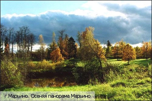 Ленинградская обл.