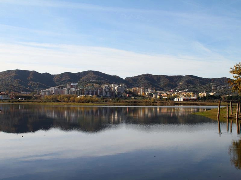 Тирана (область)
