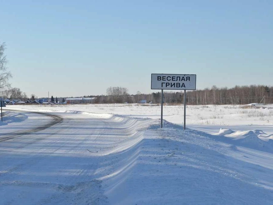Веселая Грива (Тюменская область)