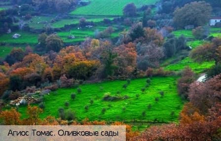 Агиос Томас